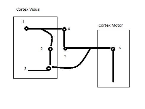 Figura 1